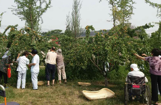 丰收季节，一起采摘